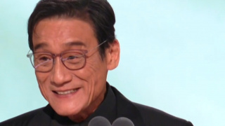 我的黄毛app